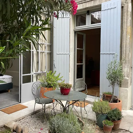 Le Jardin Des Etudes - Terrasse - Mansion 300 Years Appartement Avignon Buitenkant foto